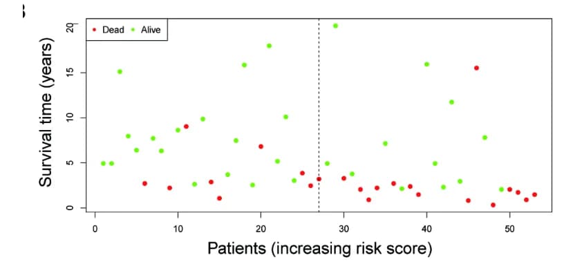 Open access visualization of Scatter Plot, KM Analysis, ROC Curve, Validation Set, Predictive Power