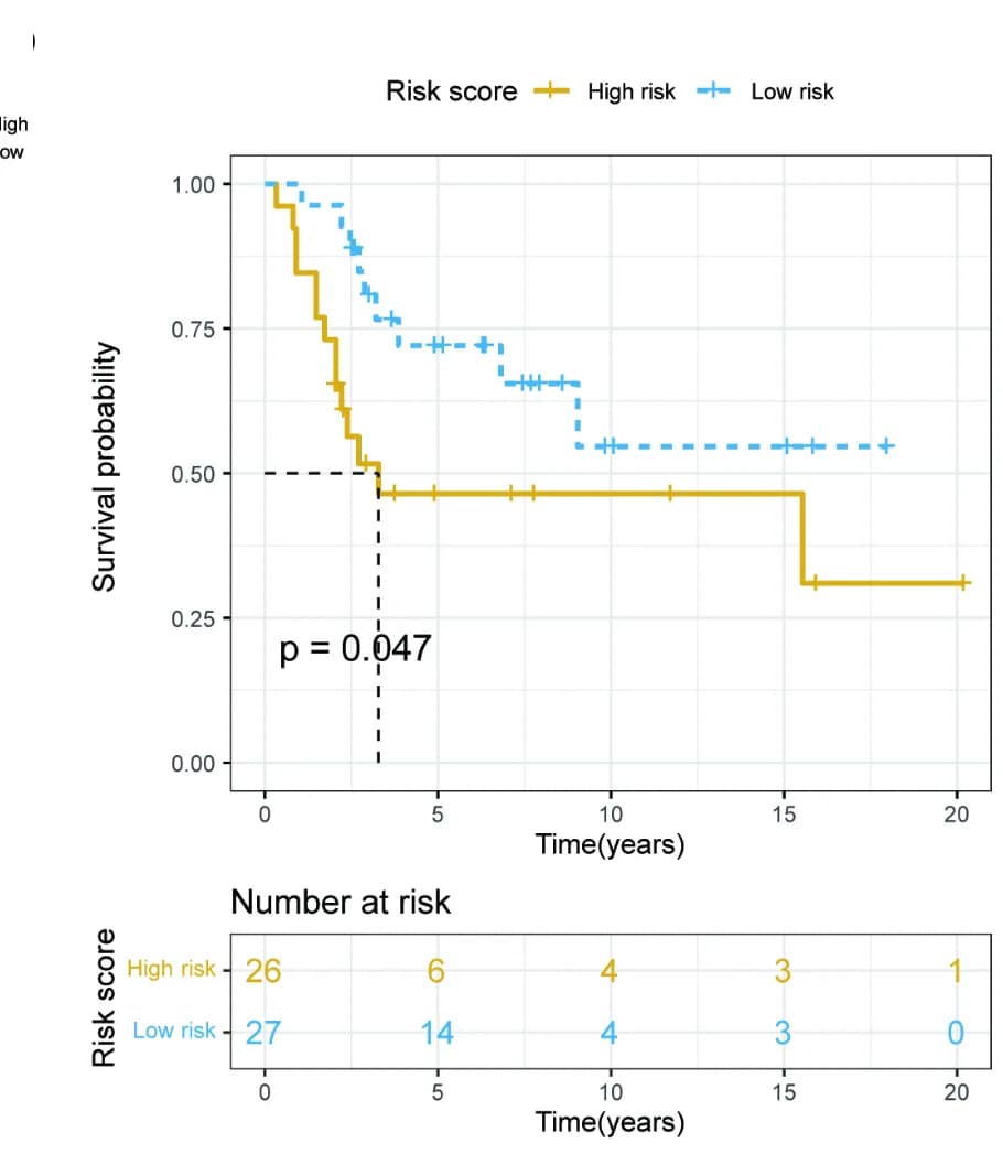 Open access visualization of Survival Curve, Line Step, Risk Heat Map, Gene Expression, Validation Set