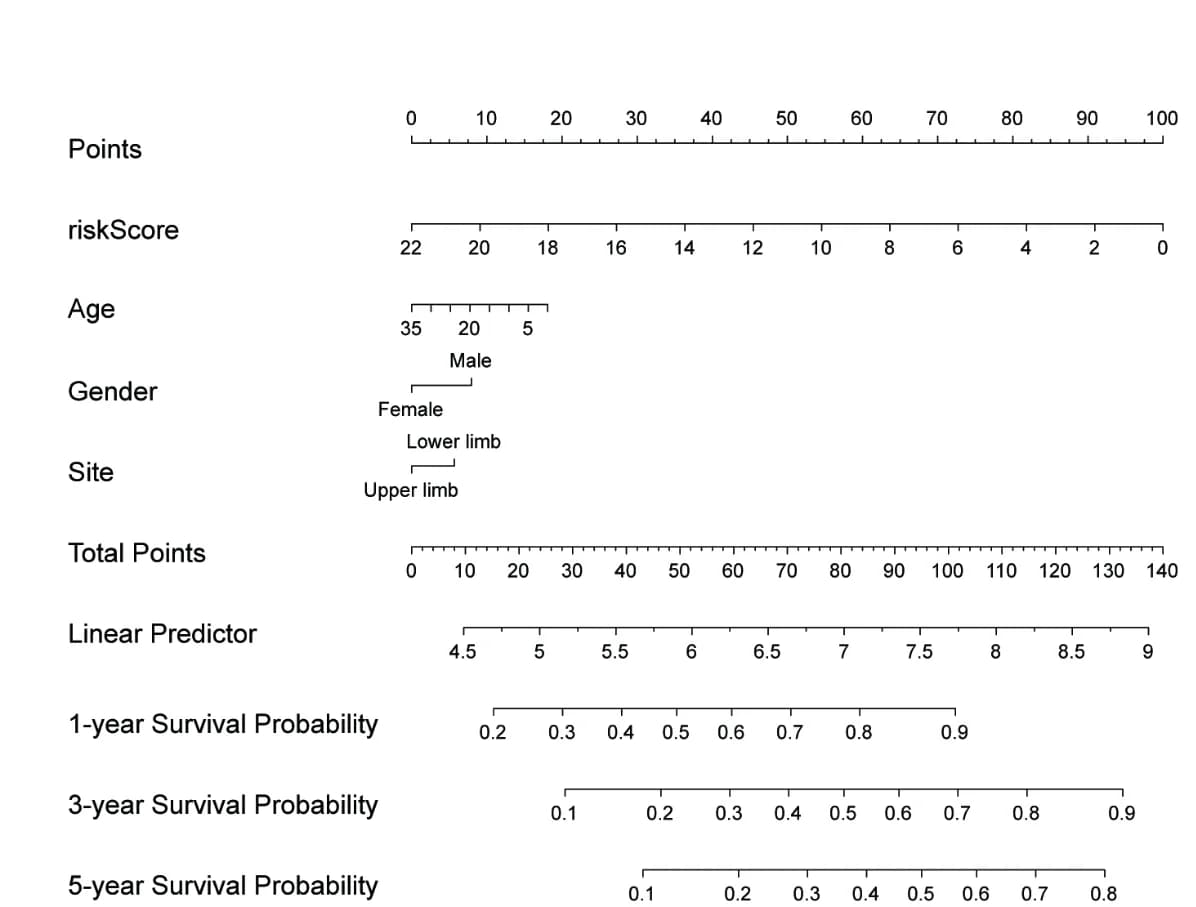Open access visualization of Illustration, ROC Curves, Survival Rates, AUC, OS Patients