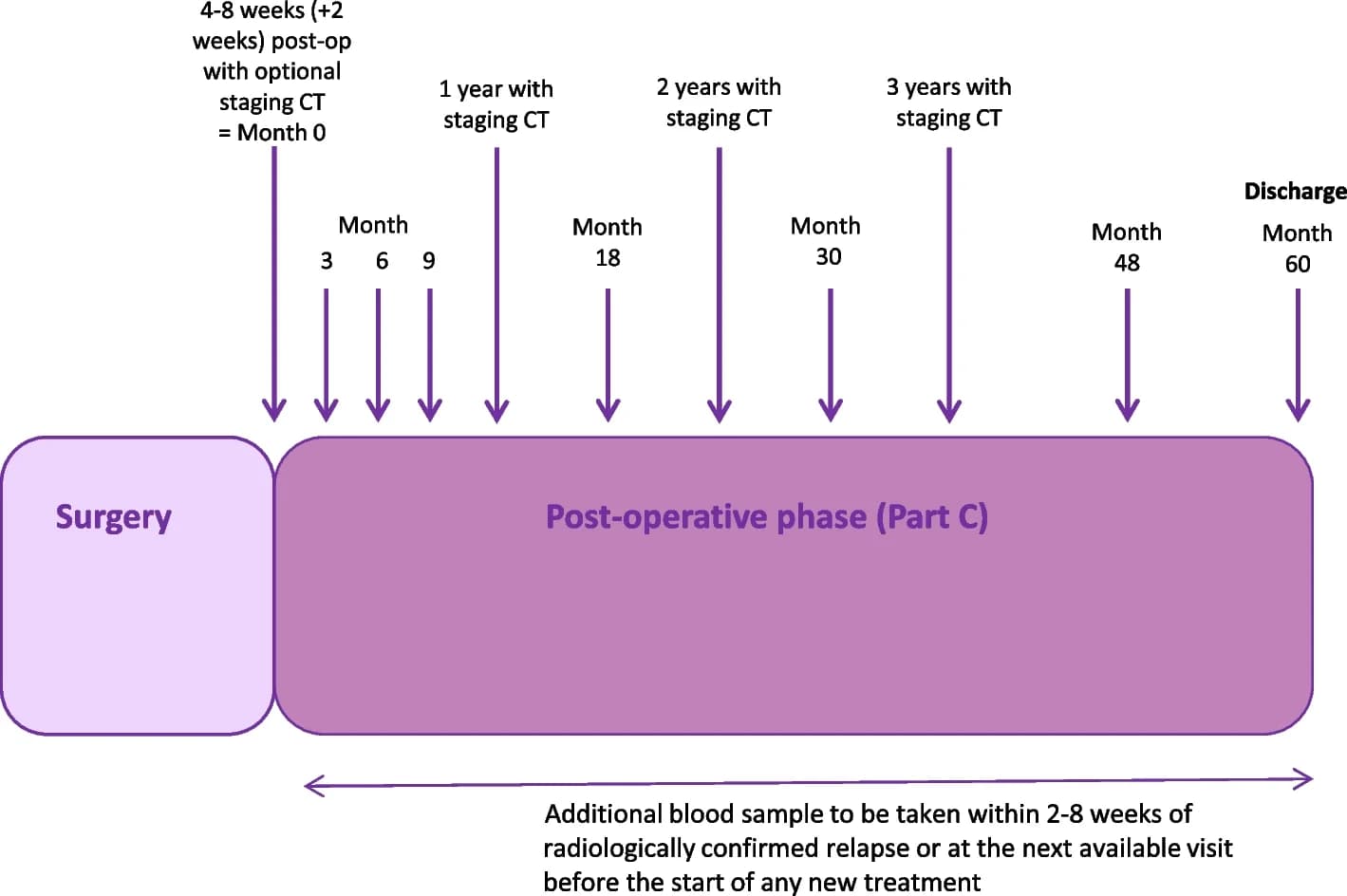 Open access visualization of Workflow, Flowchart, Blood Sample Collection, CT Imaging, Follow-up Schedule
