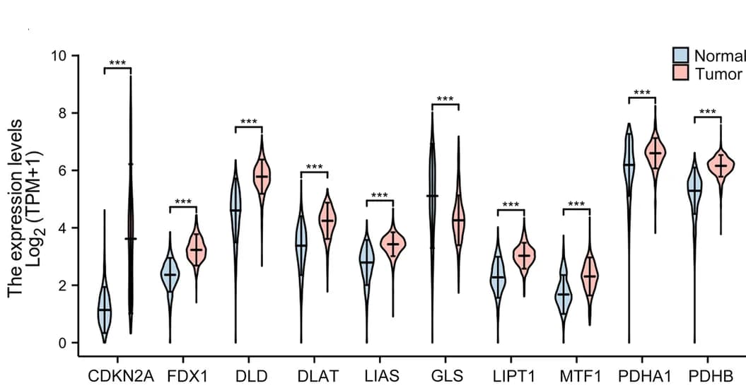 Open access visualization of Violin Plot, CRGs, Glioma, Normal Tissues, Cuproptosis-Related Gene