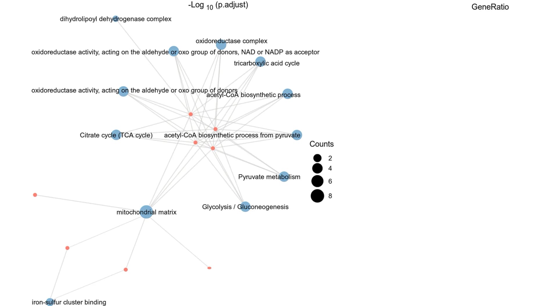 Open access visualization of Network, Pathway, Bubble Plot, Functional Enrichment Analysis, Visualization Network