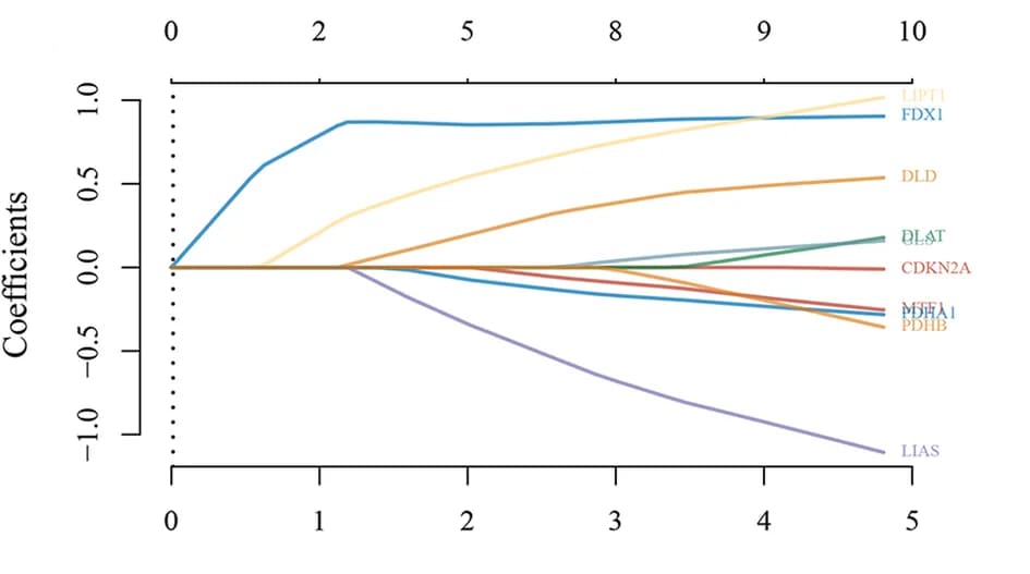 Open access visualization of Line Plot, LASSO Coefficient Profiles, CRGs, Glioma