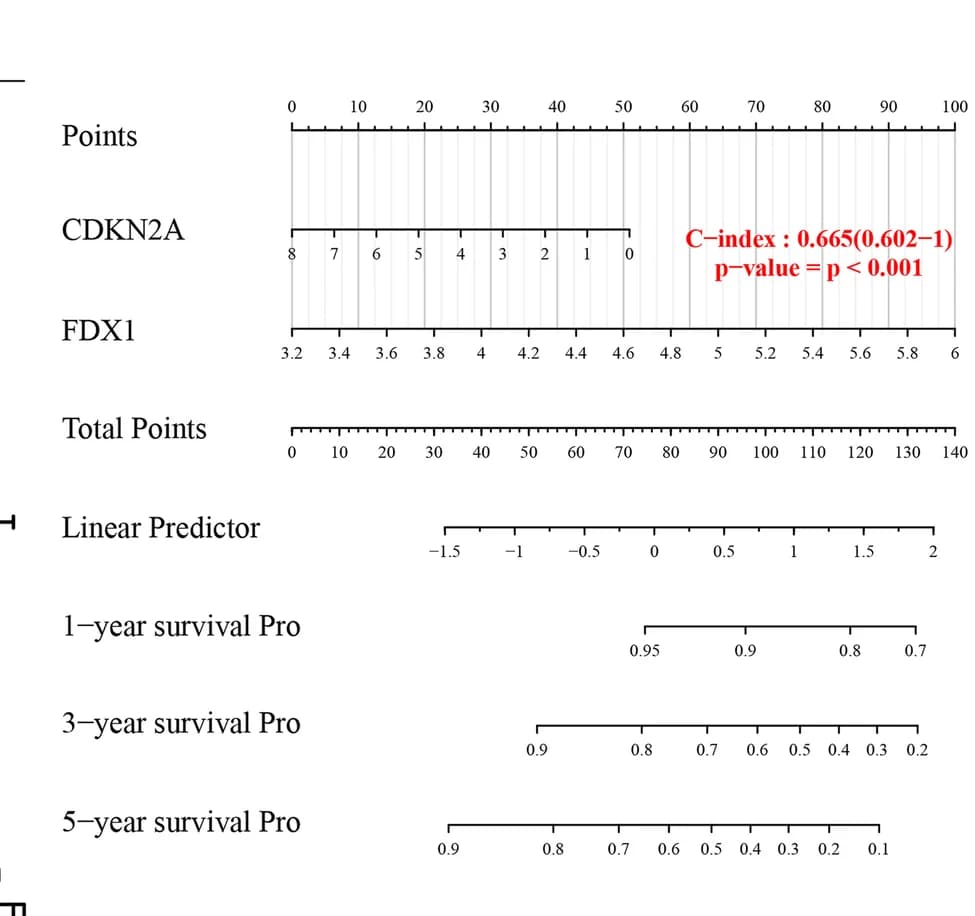 Open access visualization of Line Plot, Nomogram, Overall Survival Rate, Glioma