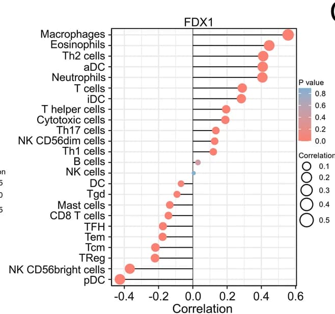 Open access visualization of Scatter Plot, Bubble Plot, CRGs, Immune Infiltration, Glioma