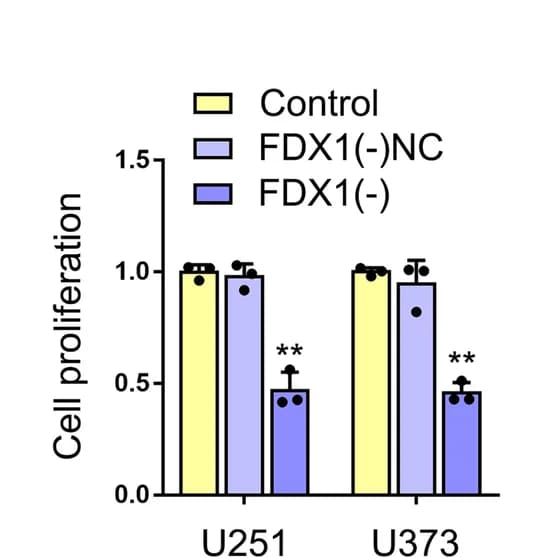 Open access visualization of Bar Plot, Error Bars, Clustered, FDX1, Cell Proliferation