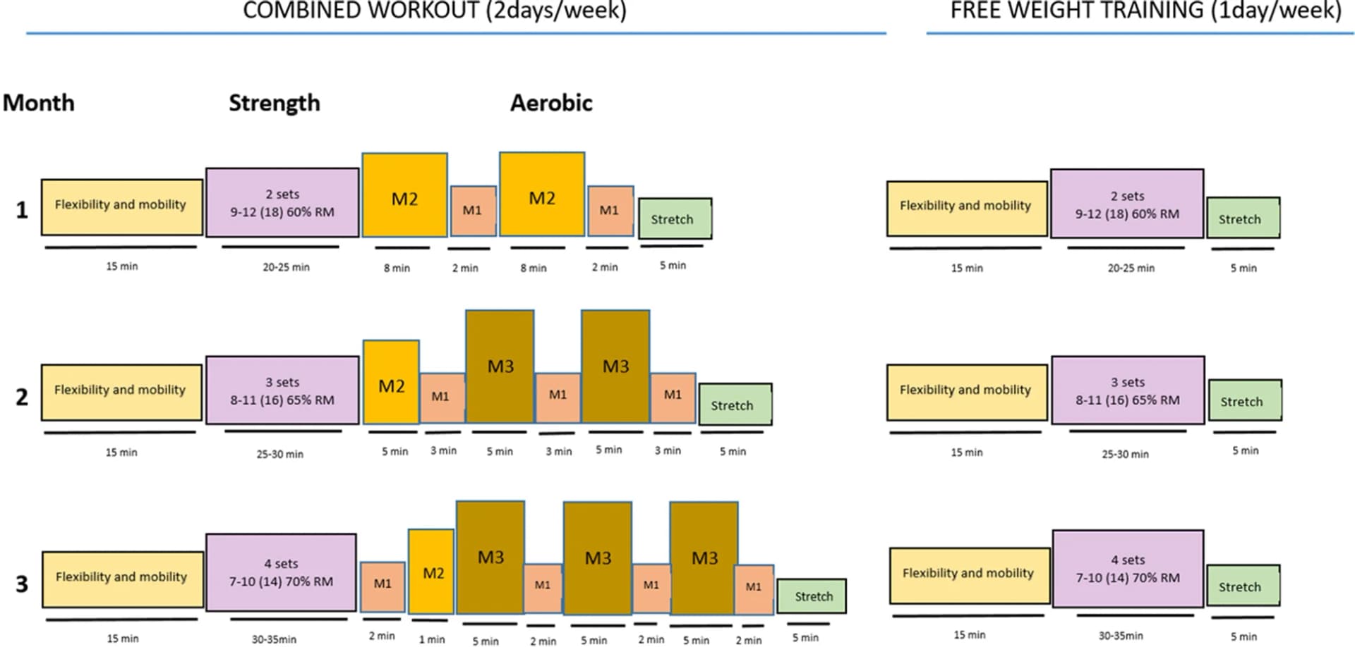 Open access visualization of Workflow, Flowchart, Exercise Programme, Intensity, Repetition