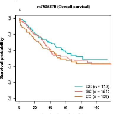Open access visualization of Survival Curve, Kaplan-Meier Plots, Smoking, Overall Survival, Cancer-Specific Survival