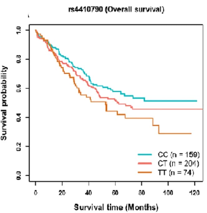 Open access visualization of Survival Curve, Line Plot, Line Step, Kaplan-Meier Plots, Coffee Consumption