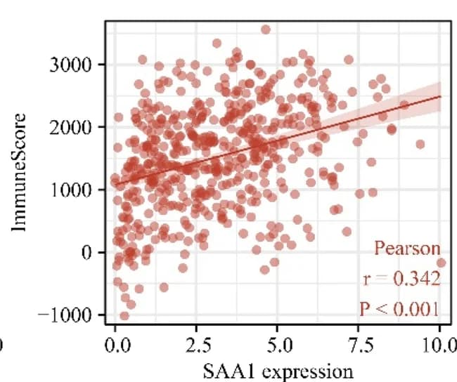 Open access visualization of Scatter Plot, Regression Plot, Immune Score