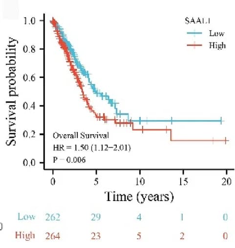 Open access visualization of Survival Curve, OS