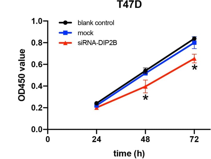 Open access visualization of Line Plot, Error Bars, DIP2B-siRNA, Breast Cancer, Cell Proliferation