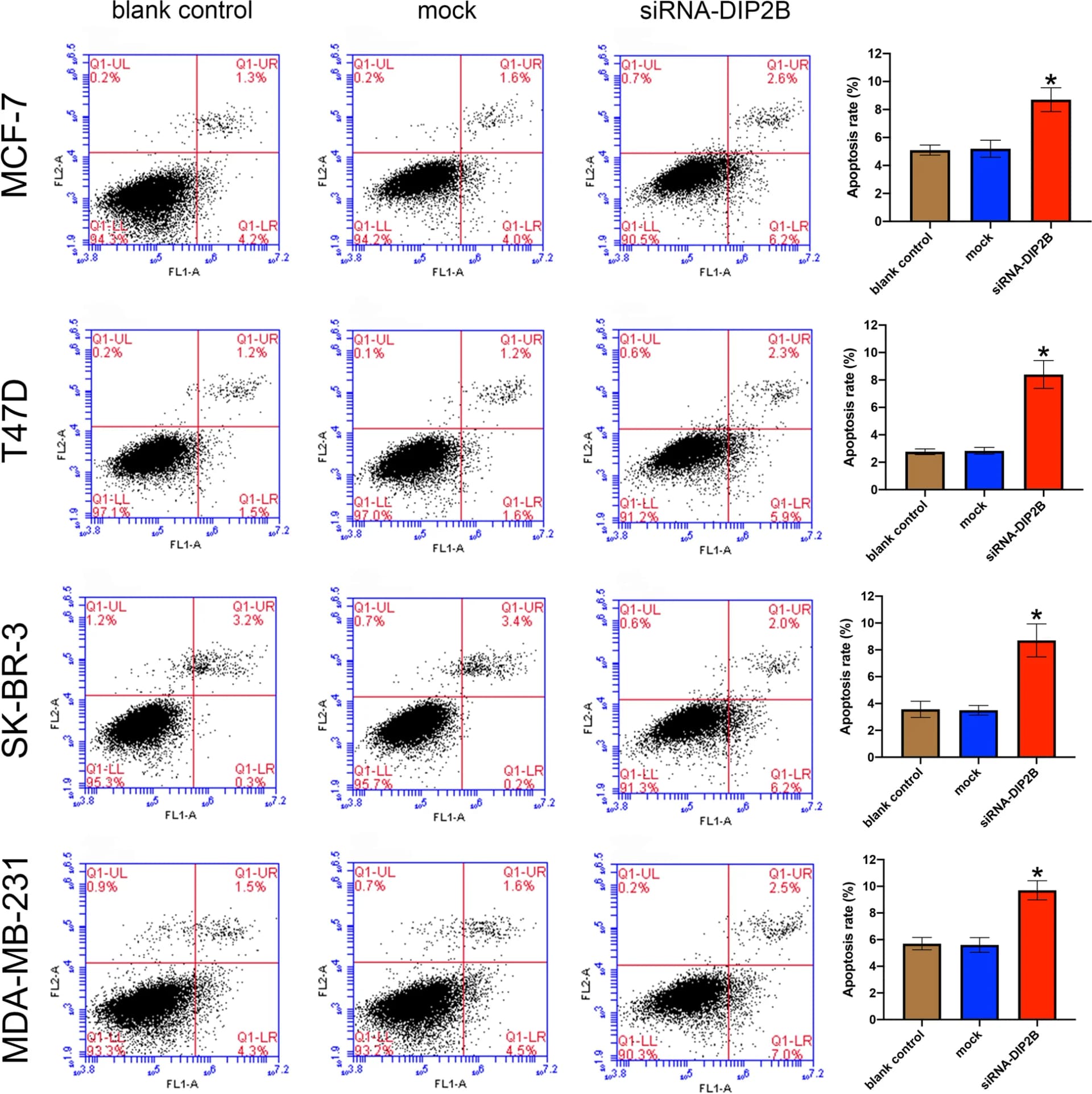 Open access visualization of Scatter Plot, Bar Plot, Error Bars, DIP2B-siRNA, Breast Cancer Cells