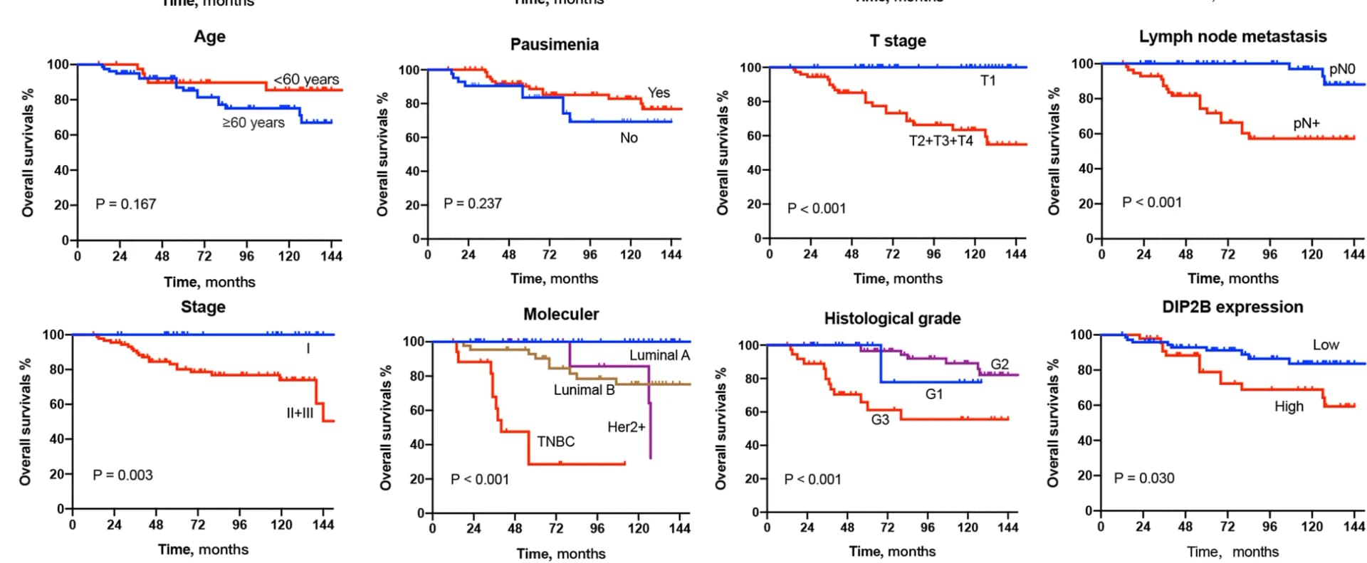 Open access visualization of Survival Curve, Kaplan-Meier Curve, Overall Survival, Breast Cancer, Survival Analysis