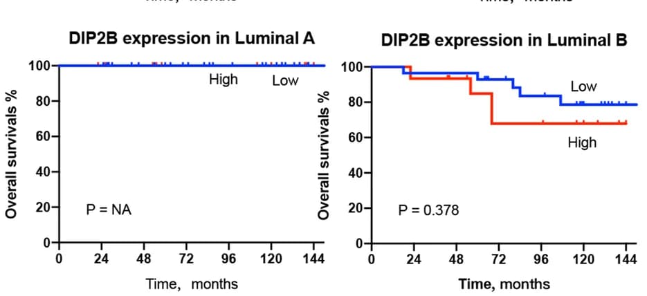 Open access visualization of Line Plot, Survival Curve, Line Step, Kaplan-Meier curves, Overall survival