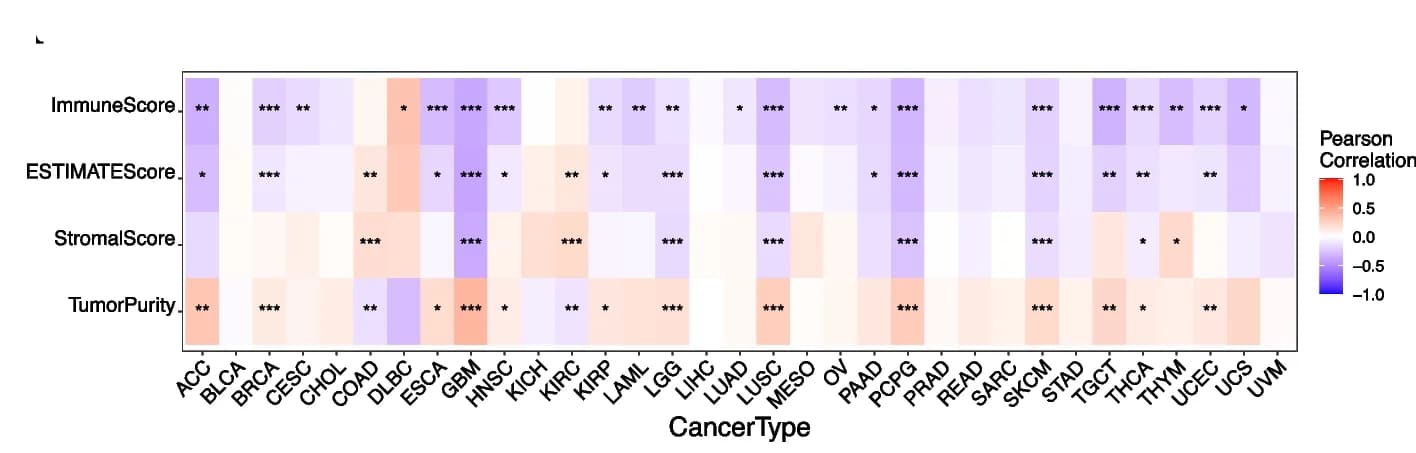 Open access visualization of Heatmap, DIP2B Expression, Immune Score, Cancers