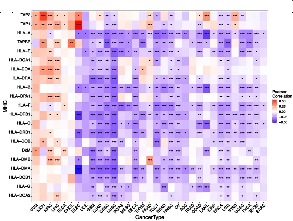 Open access visualization of Heatmap, DIP2B, MHC, Major Histocompatibility Complex, Gene Expression
