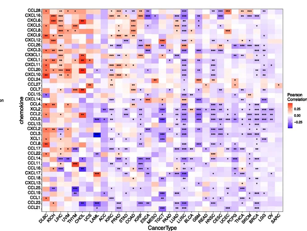 Open access visualization of Heatmap, DIP2B, Chemokine, Gene Expression, Cancers