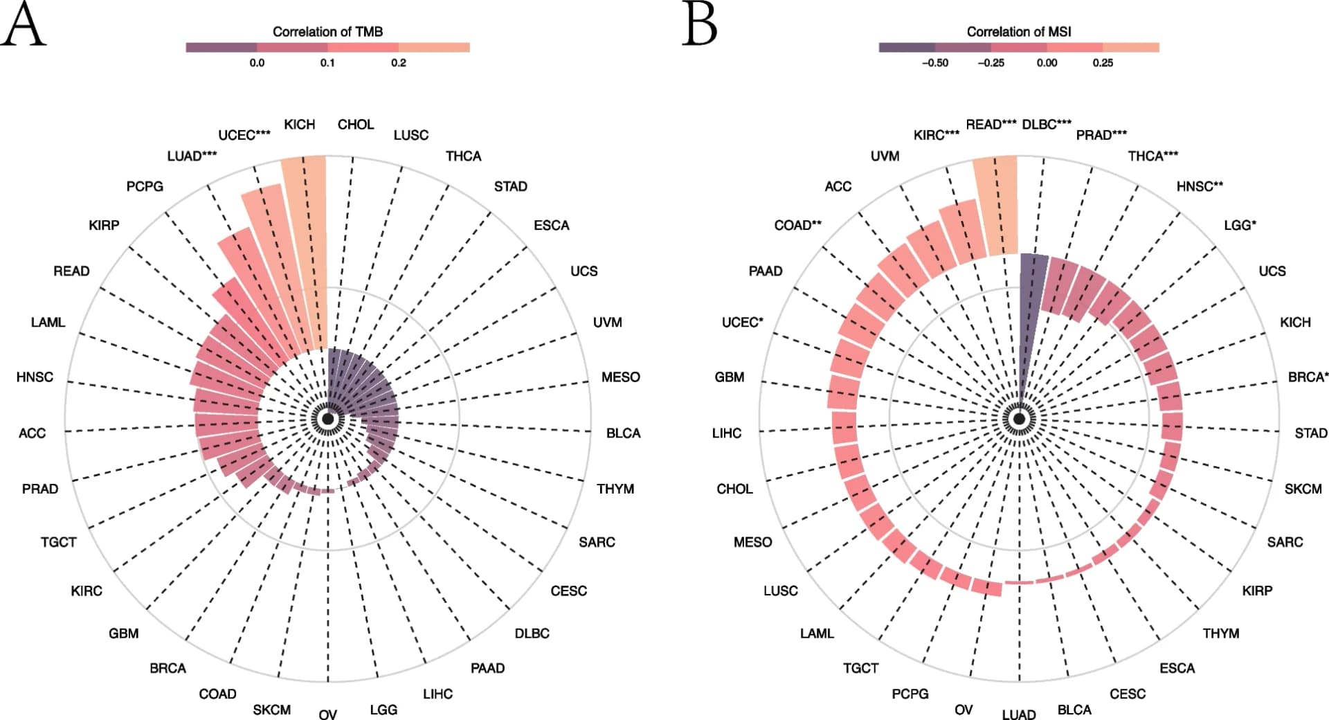 Open access visualization of Bar Plot, DIP2B Expression, TMB, Cancers