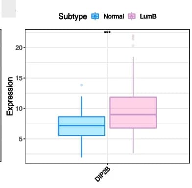 Open access visualization of Box Plot, DIP2B expression, BRCA subtypes