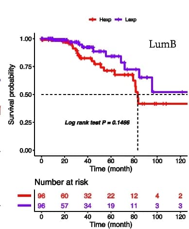 Open access visualization of Survival Curve, KM plot, DIP2B expression, Overall Survival, Her-2+ BRCA