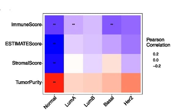 Open access visualization of Heatmap, DIP2B expression, Immune Score