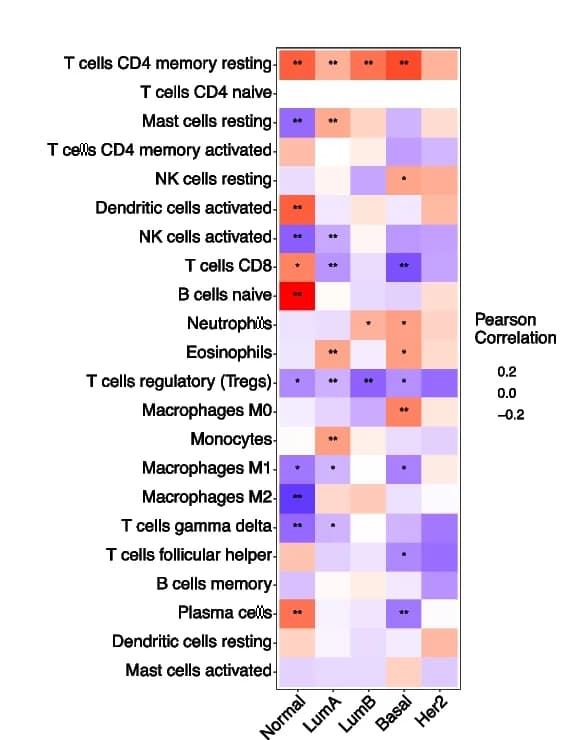 Open access visualization of Heatmap, DIP2B expression, Immune Cell Infiltration