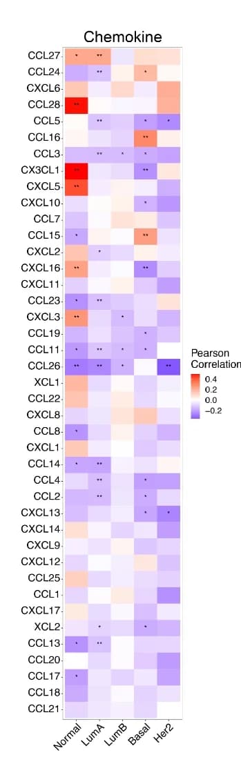 Open access visualization of Heatmap, DIP2B, Chemokine Genes