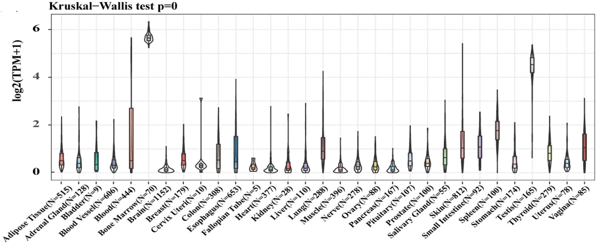 Open access visualization of Violin Plot, Box Plot, DTL Expression, Tissues