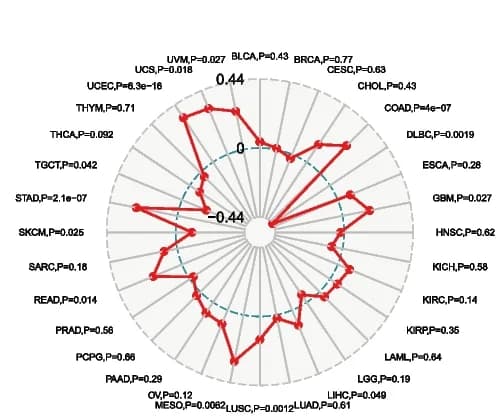 Open access visualization of Radar Chart, DTL, MSI, Spearman Rank Correlation