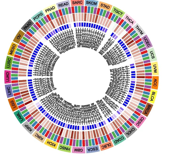 Open access visualization of Bar Plot, Clustered, Stacked Bar Plot, DTL expression, Methyltransferases