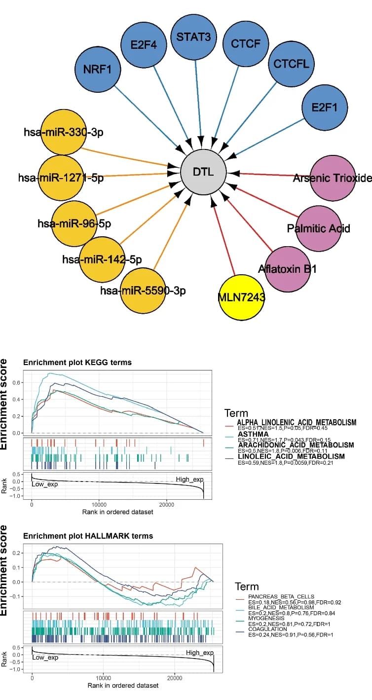 Open access visualization of Network, Line Plot, Drugs, Targets, miRNAs