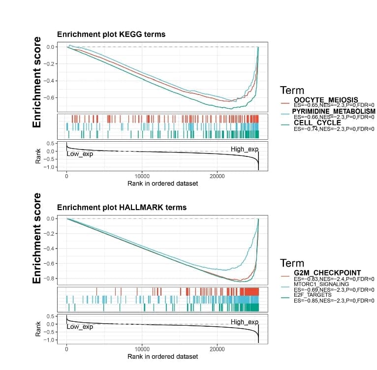 Open access visualization of Line Plot, Bar Plot, GSEA analysis, KEGG pathways, Hallmark pathways