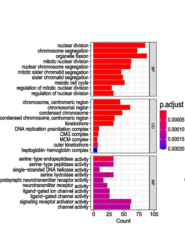 Open access visualization of Bar Plot, Differentially expressed genes, DTL expression, LIHC, GO enrichment analysis