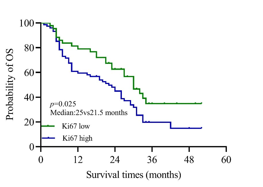 Open access visualization of Survival Curve, Line Step, Ki67, Prognosis, Survival Analysis