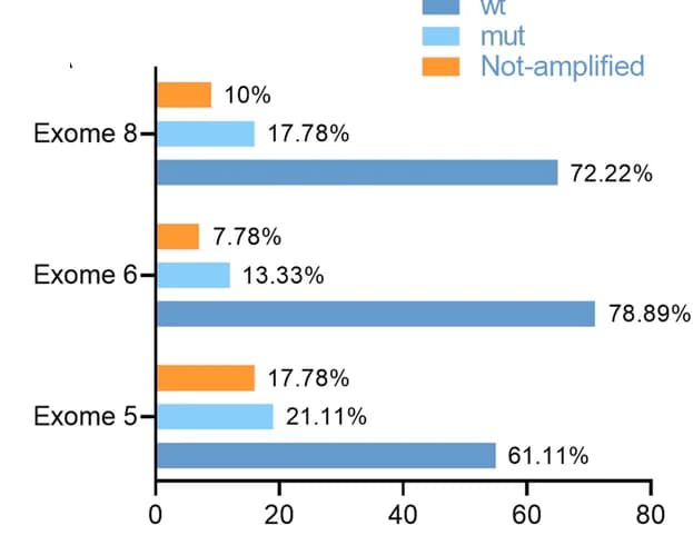 Open access visualization of Bar Plot, Clustered, TP53, Mutation, Exon