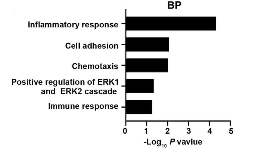 Open access visualization of Bar Plot, Biological Process, Differentially Expressed Genes, Primary Colorectal Cancer, Lung Metastatic Colorectal Cancer