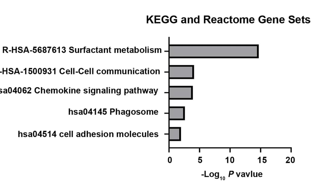 Open access visualization of Bar Plot, KEGG Pathways, Reactome Gene Sets, Differentially Expressed Genes, Primary Colorectal Cancer