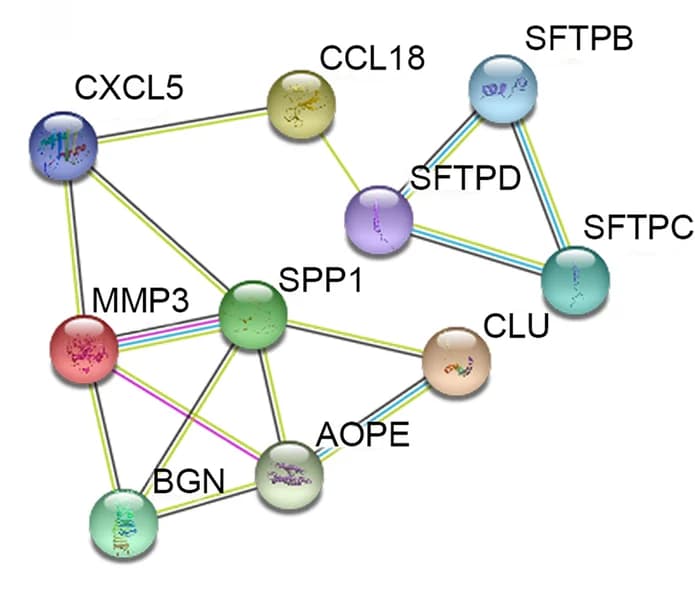 Open access visualization of Network, Pathway, PPI Network, Hub Genes, STRING Database