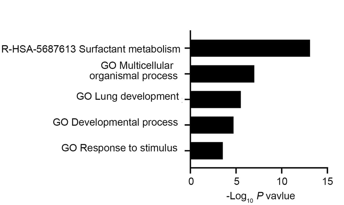 Open access visualization of Bar Plot, Module 1, GO, KEGG Pathways, Reactome Gene Sets