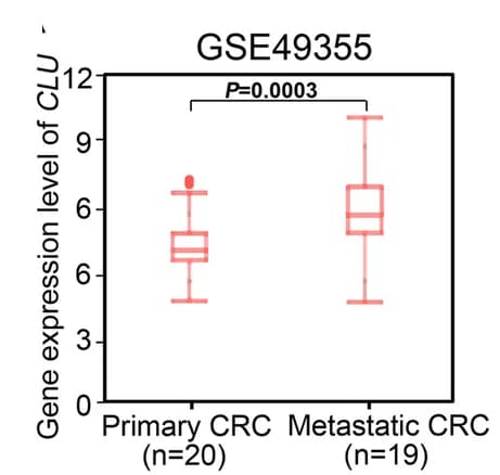 Open access visualization of Box Plot, mRNA expression levels, Hub DEGs, Primary CRC, Metastatic CRC