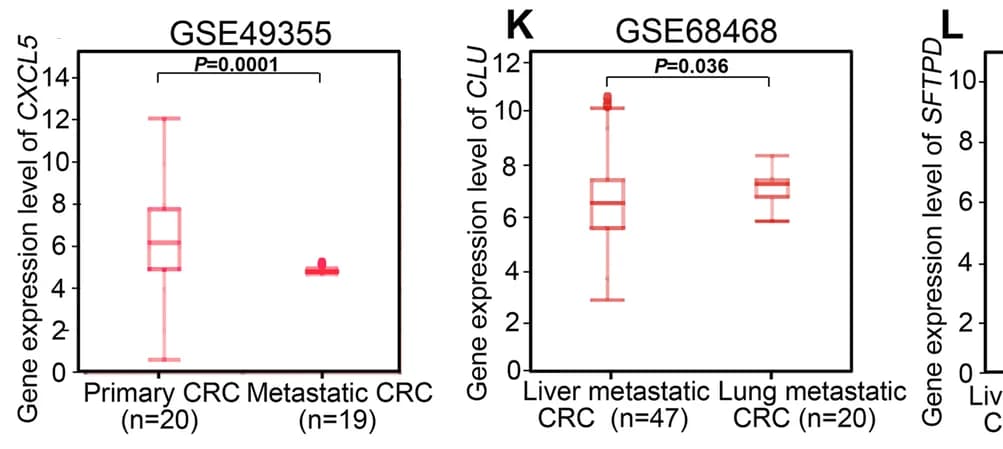 Open access visualization of Box Plot, mRNA expression levels, Hub DEGs, Primary CRC, Metastatic CRC