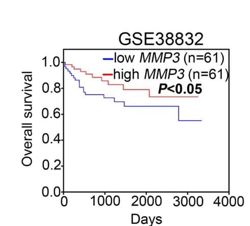 Open access visualization of Survival Curve, DEG expression, Overall Survival, Colorectal Cancer, GEO databases