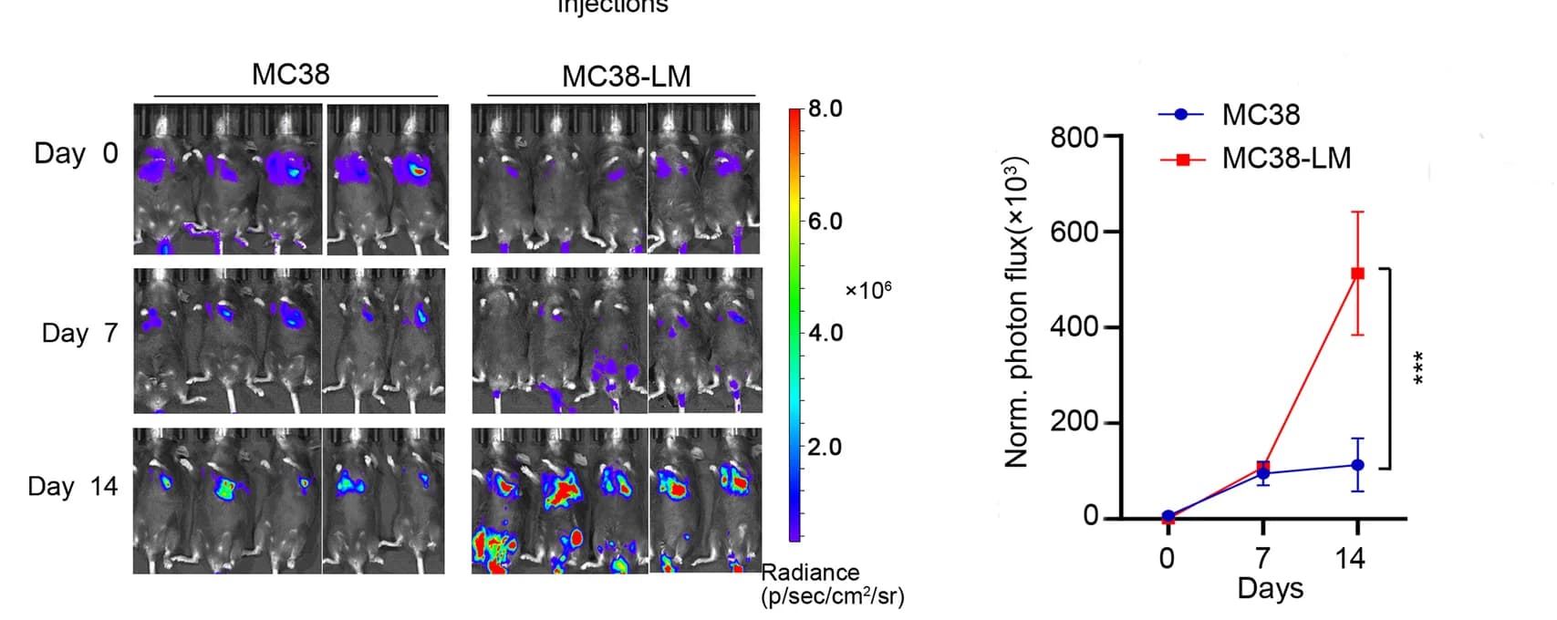 Open access visualization of Line Plot, Microscopy, Error Bars, MC38-Luc Cells, Lung Metastasis