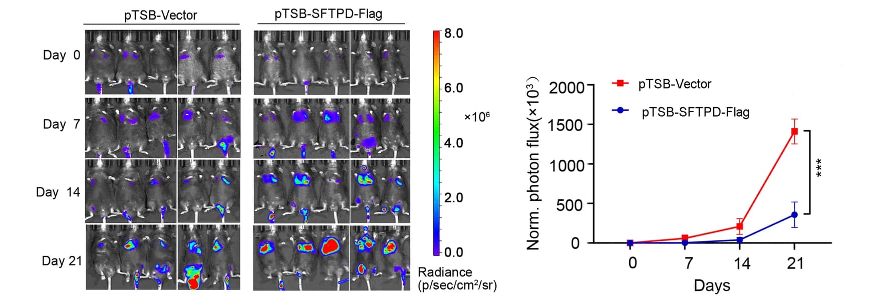 Open access visualization of Microscopy, Line Plot, Error Bars, BLI, Mice