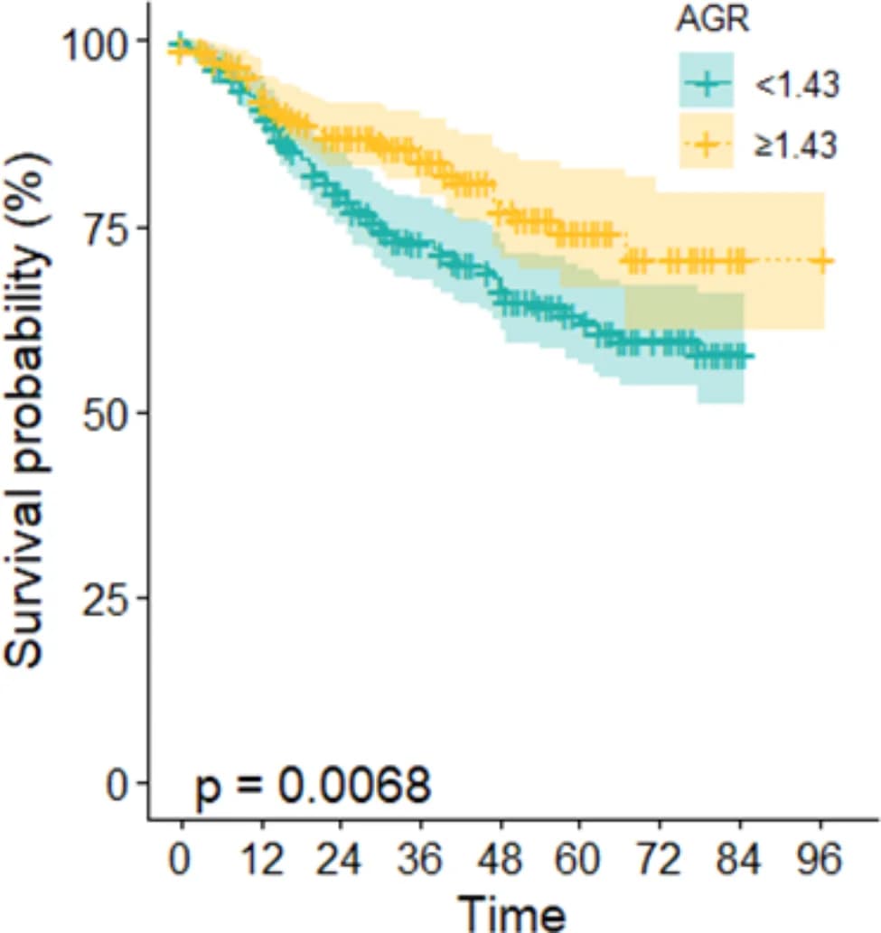 Open access visualization of Survival Curve, Error Bars, Kaplan-Meier Survival Curves, Esophageal Squamous Cell Carcinoma, Survival Analysis