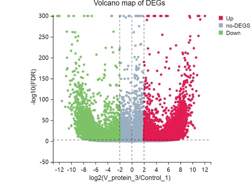 Open access visualization of Volcano Plot, Gene Expression, HepG2 Cells, Transfection