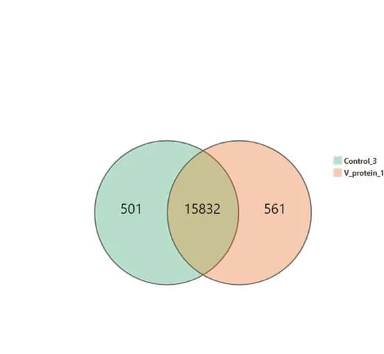 Open access visualization of Venn Diagram, Gene Expression, V Protein, Overexpression