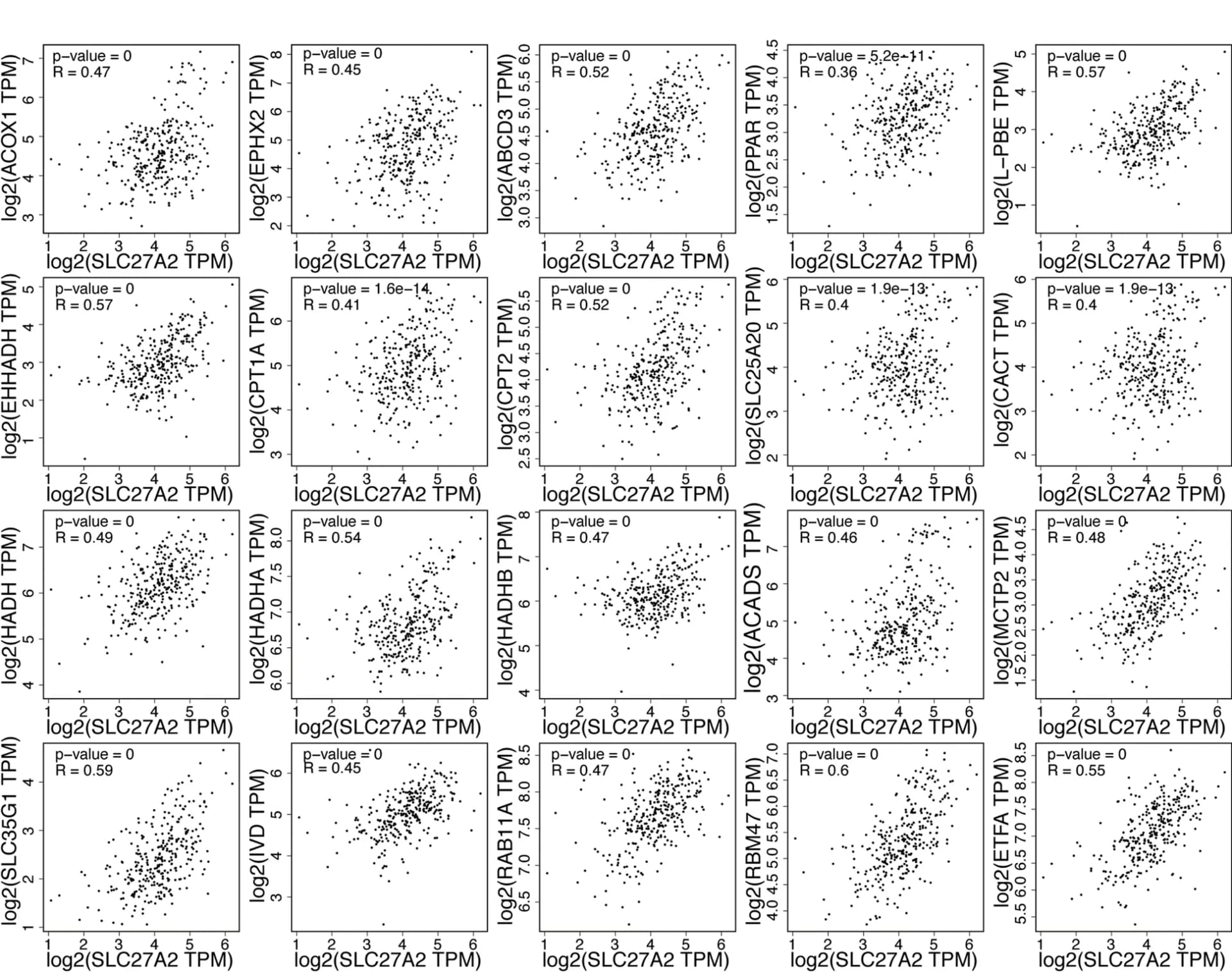 Open access visualization of Scatter Plot, SLC27A2, FAO metabolic genes, CRC, Mitochondria