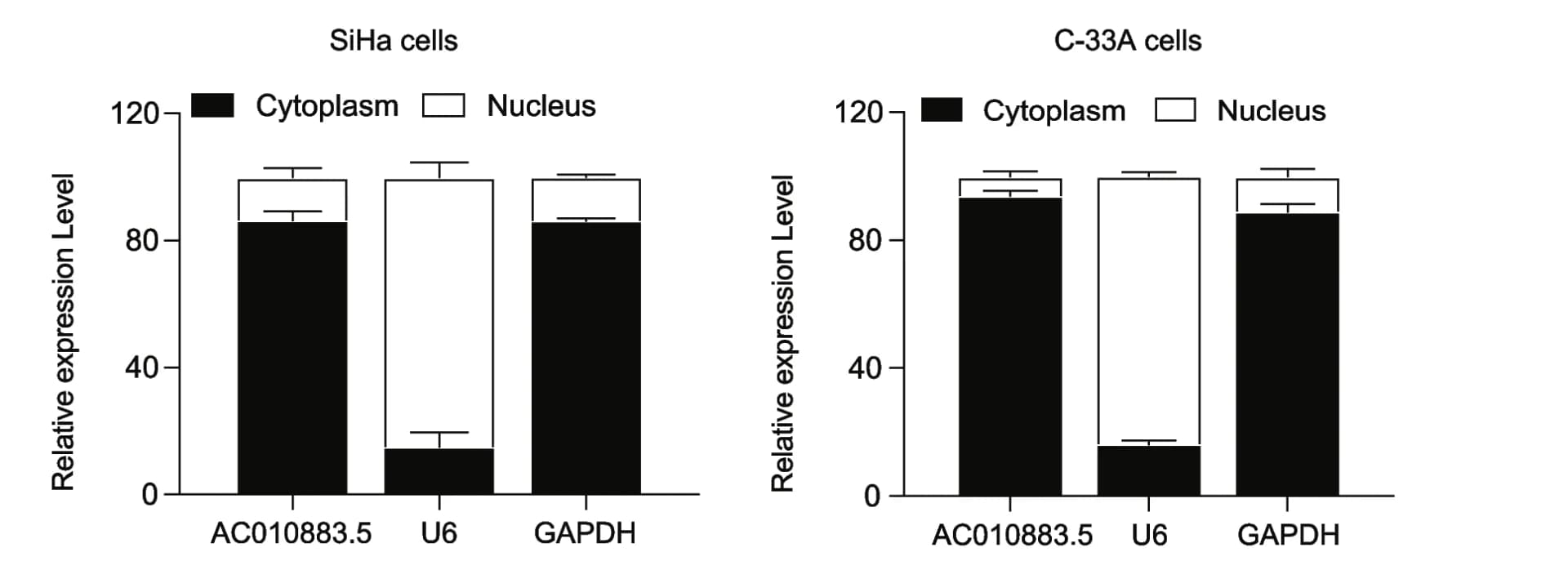 Open access visualization of Stacked Bar Plot, Error Bars, Subcellular Location, AC010883.5, SiHa Cells